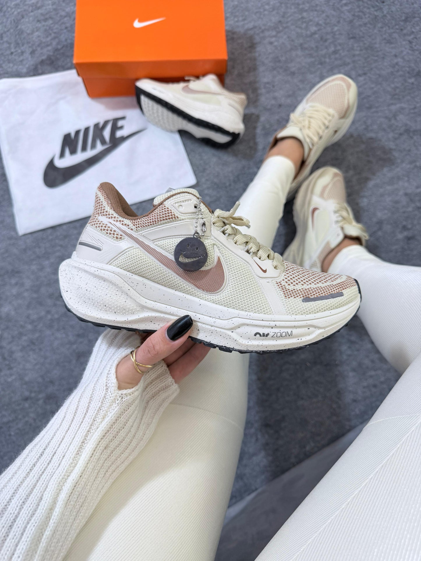 Pegasus 41 Areia