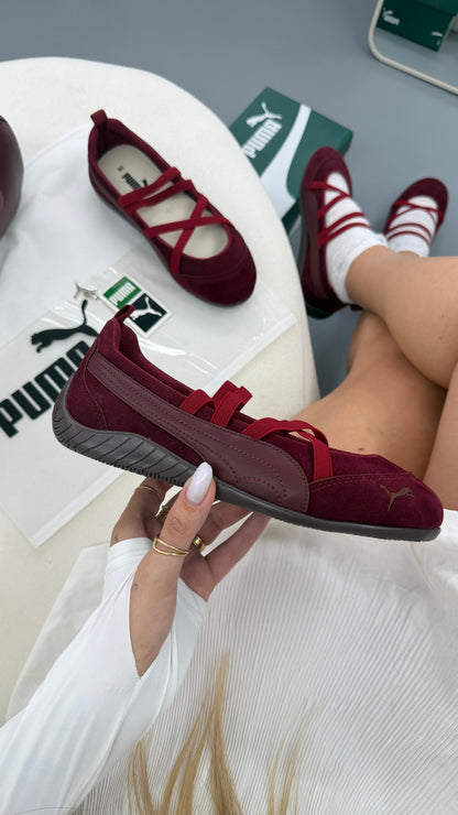 Speed cat bordo