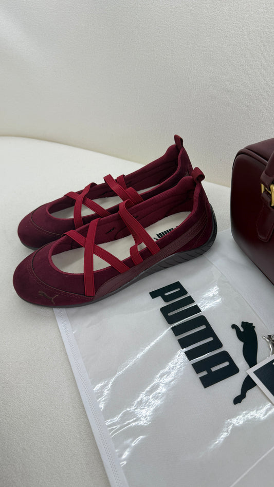 Speed cat bordo