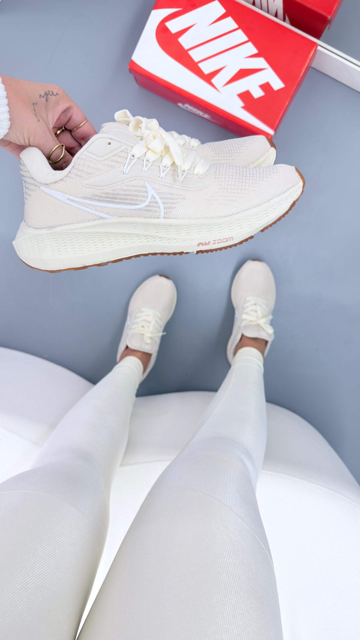 Pegasus 39 OFF